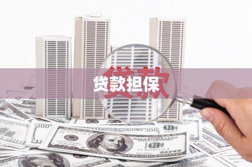 盐湖贷款担保