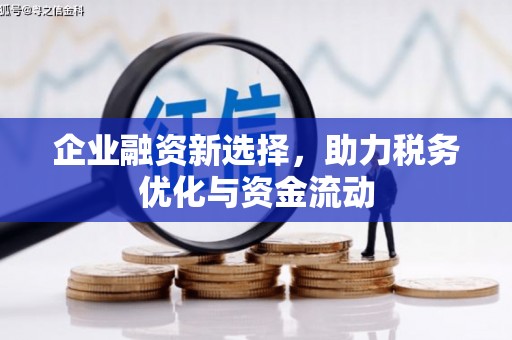 盐湖企业融资新选择，助力税务优化与资金流动