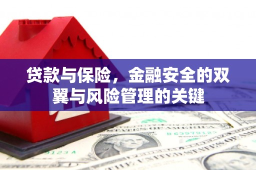 盐湖贷款与保险，金融安全的双翼与风险管理的关键