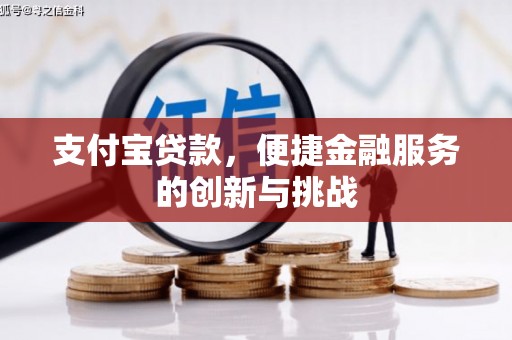 盐湖支付宝贷款，便捷金融服务的创新与挑战