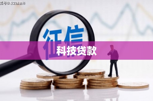盐湖科技贷款