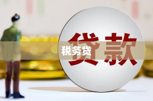 盐湖税务贷