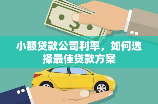 盐湖小额贷款公司利率，如何选择最佳贷款方案