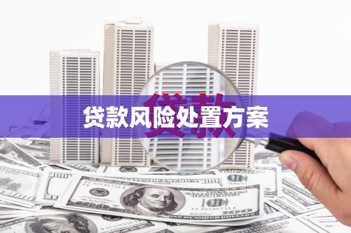 盐湖贷款风险处置方案