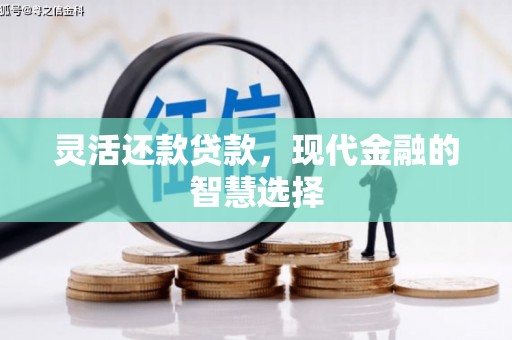 盐湖灵活还款贷款，现代金融的智慧选择