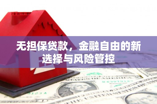 盐湖无担保贷款，金融自由的新选择与风险管控