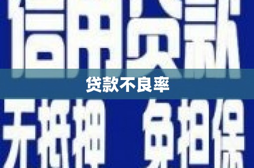 盐湖贷款不良率