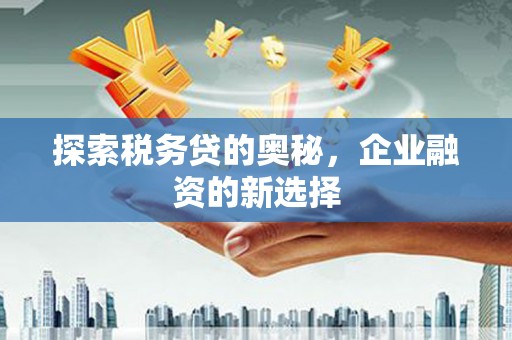 盐湖探索税务贷的奥秘，企业融资的新选择