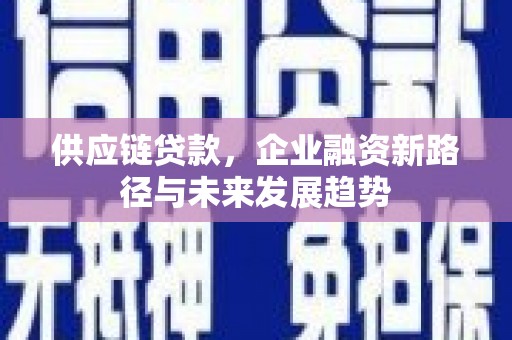 盐湖供应链贷款，企业融资新路径与未来发展趋势