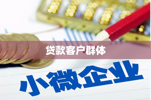 盐湖贷款客户群体