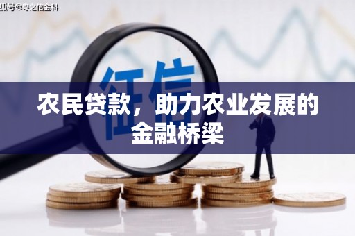 盐湖农民贷款，助力农业发展的金融桥梁