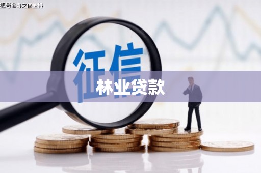 盐湖林业贷款