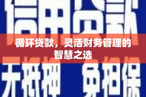 盐湖循环贷款，灵活财务管理的智慧之选