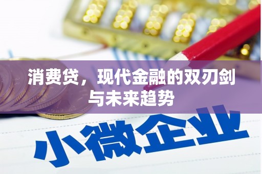 盐湖消费贷，现代金融的双刃剑与未来趋势