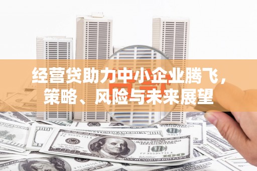 盐湖经营贷助力中小企业腾飞，策略、风险与未来展望