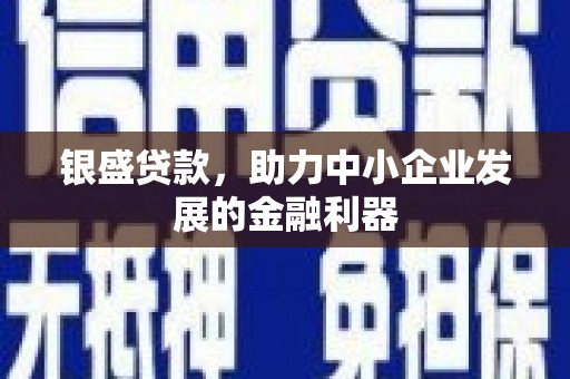 盐湖银盛贷款，助力中小企业发展的金融利器