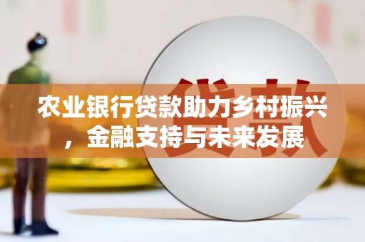 盐湖农业银行贷款助力乡村振兴，金融支持与未来发展