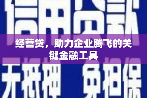 盐湖经营贷，助力企业腾飞的关键金融工具