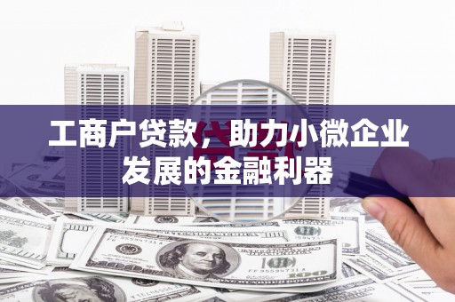 盐湖工商户贷款，助力小微企业发展的金融利器