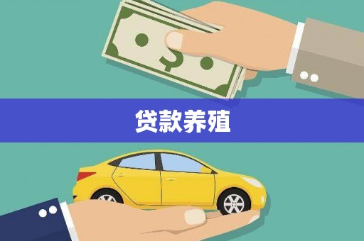 盐湖贷款养殖