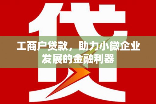 盐湖工商户贷款，助力小微企业发展的金融利器