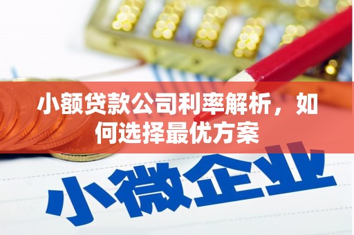 盐湖小额贷款公司利率解析，如何选择最优方案