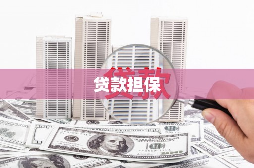 盐湖贷款担保