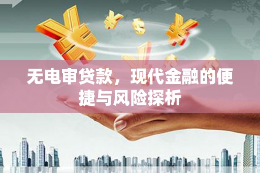 盐湖无电审贷款，现代金融的便捷与风险探析