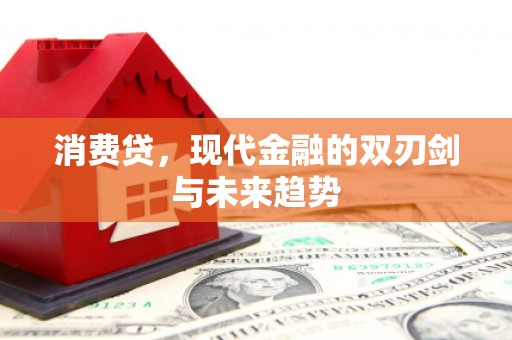 盐湖消费贷，现代金融的双刃剑与未来趋势