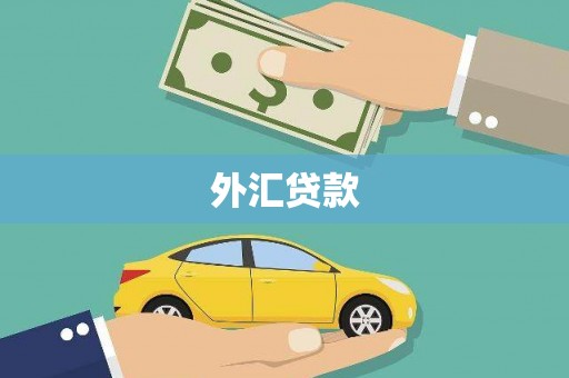 盐湖外汇贷款