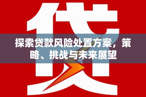盐湖探索贷款风险处置方案，策略、挑战与未来展望