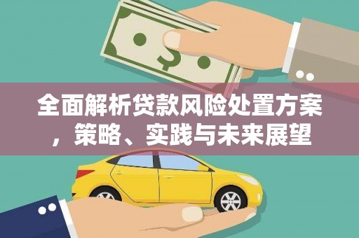 盐湖全面解析贷款风险处置方案，策略、实践与未来展望