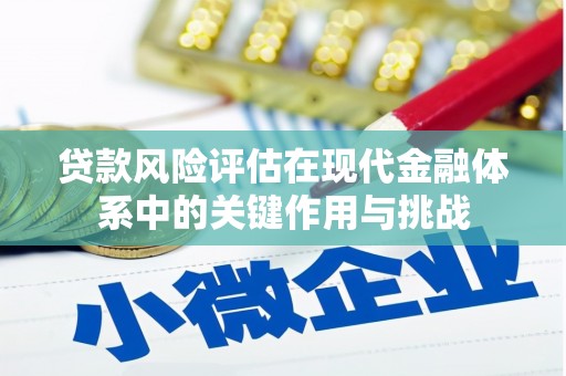 盐湖贷款风险评估在现代金融体系中的关键作用与挑战