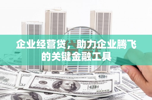 盐湖企业经营贷，助力企业腾飞的关键金融工具