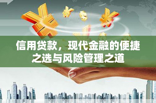 盐湖信用贷款，现代金融的便捷之选与风险管理之道