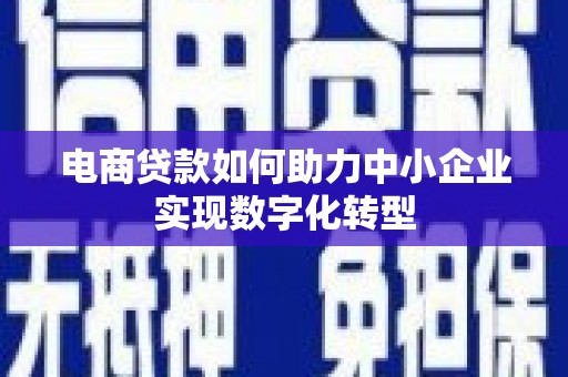 盐湖电商贷款如何助力中小企业实现数字化转型