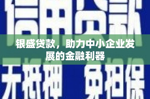 盐湖银盛贷款，助力中小企业发展的金融利器