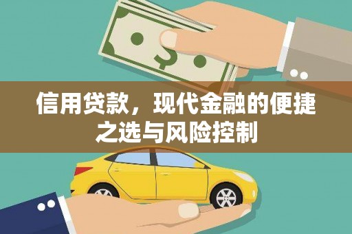 盐湖信用贷款，现代金融的便捷之选与风险控制