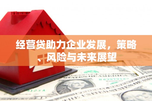 盐湖经营贷助力企业发展，策略、风险与未来展望