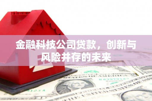 盐湖金融科技公司贷款，创新与风险并存的未来