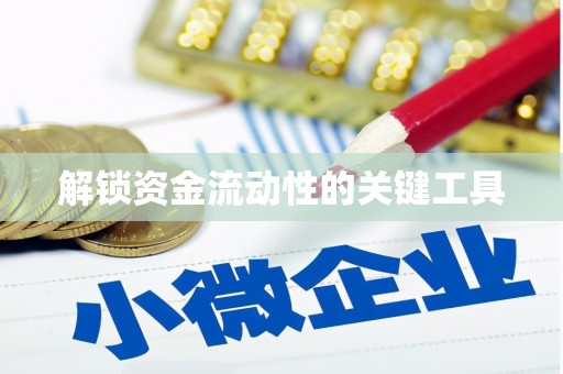盐湖解锁资金流动性的关键工具