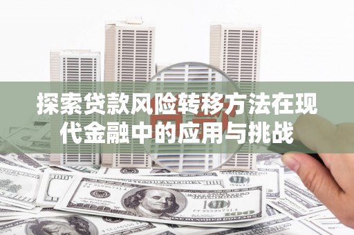 盐湖探索贷款风险转移方法在现代金融中的应用与挑战