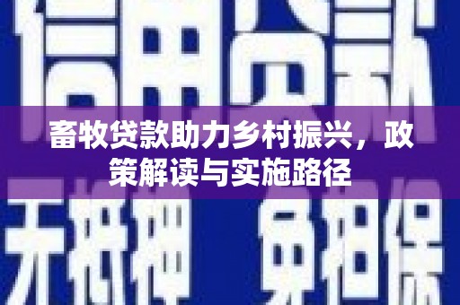 盐湖畜牧贷款助力乡村振兴，政策解读与实施路径
