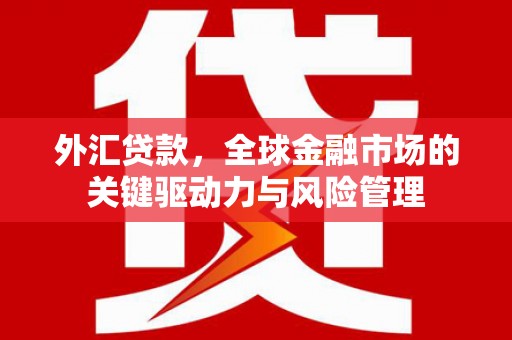 盐湖外汇贷款，全球金融市场的关键驱动力与风险管理