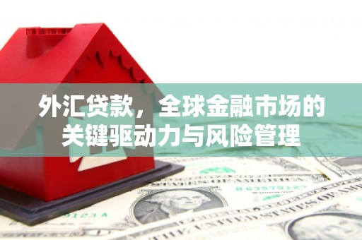 盐湖外汇贷款，全球金融市场的关键驱动力与风险管理