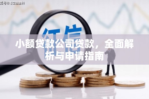 盐湖小额贷款公司贷款，全面解析与申请指南