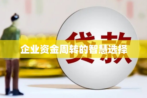 盐湖企业资金周转的智慧选择