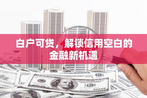 盐湖白户可贷，解锁信用空白的金融新机遇