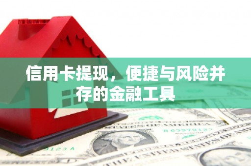 盐湖信用卡提现，便捷与风险并存的金融工具