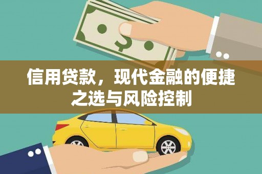 盐湖信用贷款，现代金融的便捷之选与风险控制